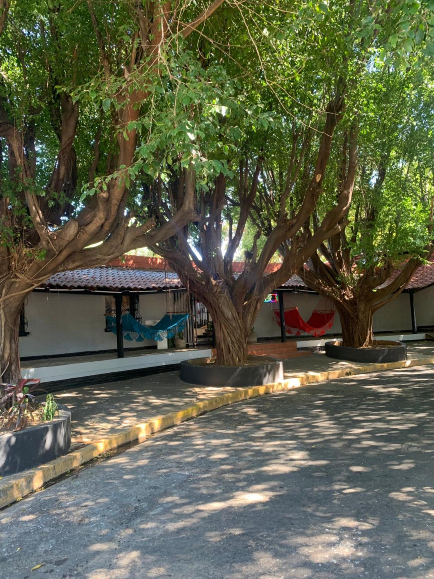 Managua Hotel Oasis Екстер'єр фото