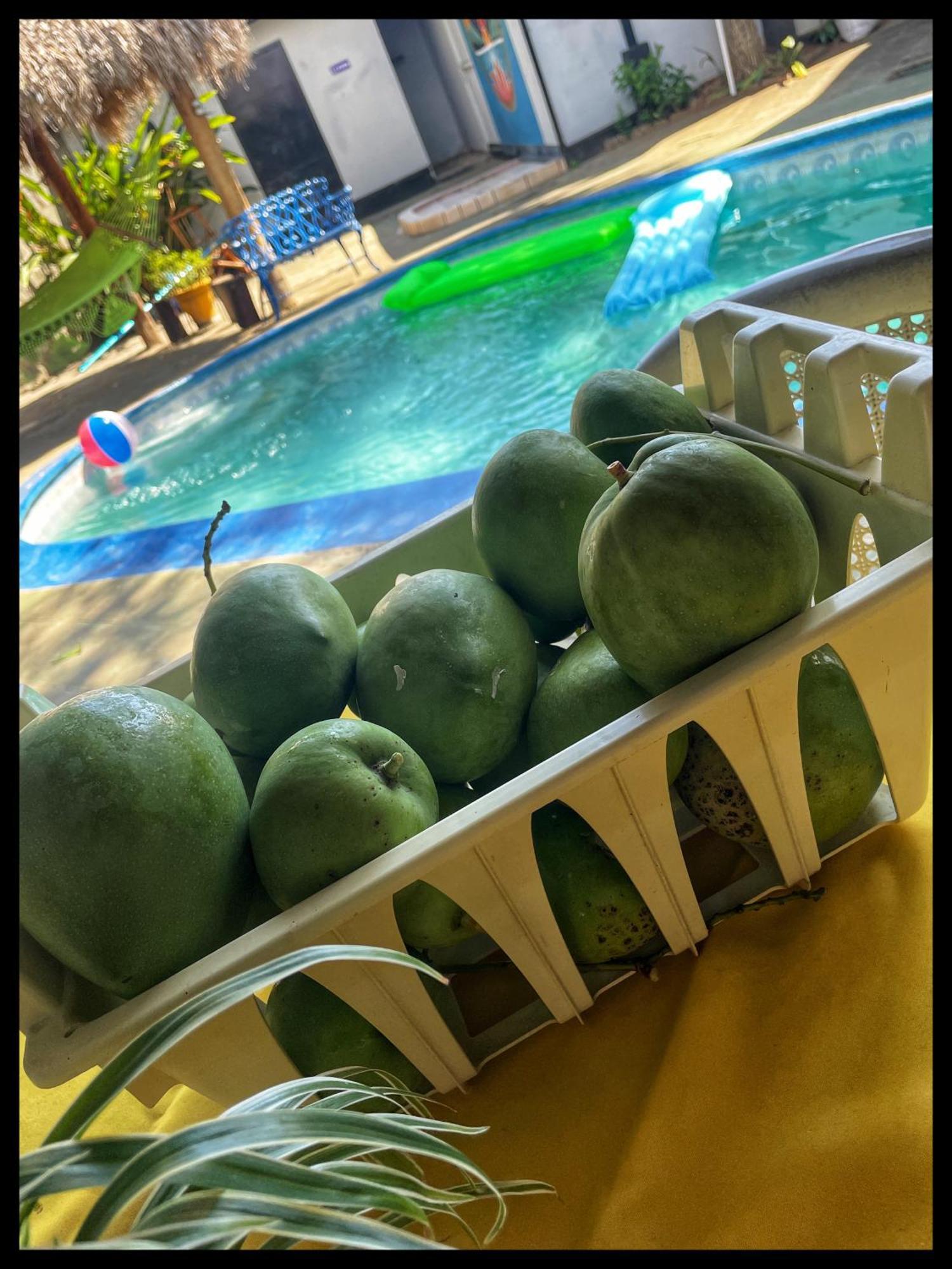 Managua Hotel Oasis Екстер'єр фото